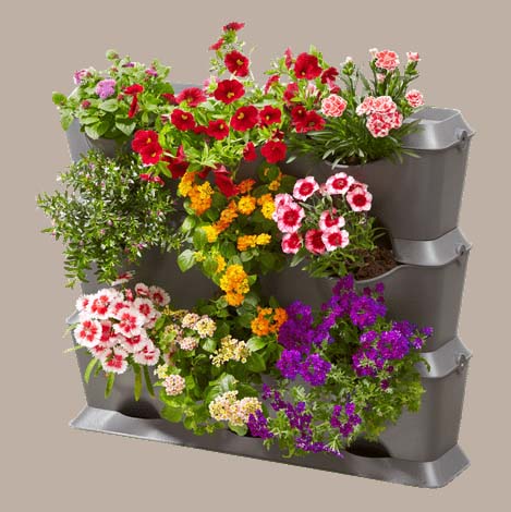 Individual design